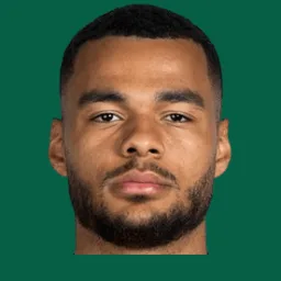 Cody Gakpo
