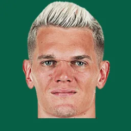 Matthias Ginter